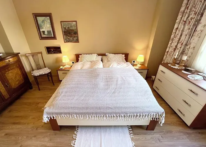 Downtown Apartment 公寓 地拉那